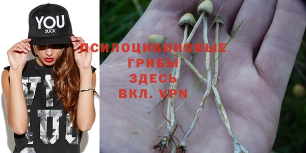 бутират Михайлов