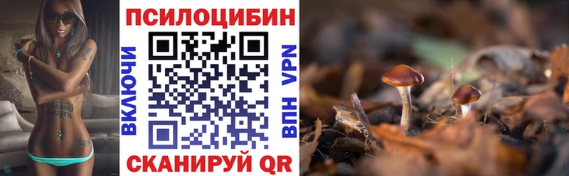 Псилоцибиновые грибы Psilocybine cubensis купить наркотики цена blacksprut онион Олонец